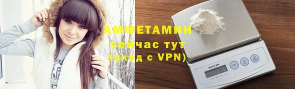 твердый Абаза